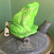Relax and Do Nothing Frog