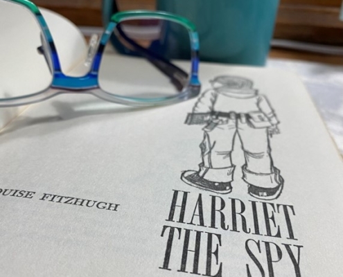 Grab a Comfy Book Harriet the Spy